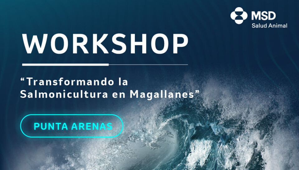 Unidad de Acuicultura de MSD Salud Animal realizará workshop en Punta Arenas