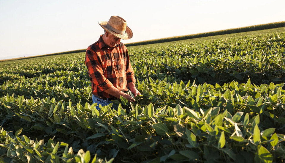 Proveedor para alimentos acuícolas se declara en quiebra