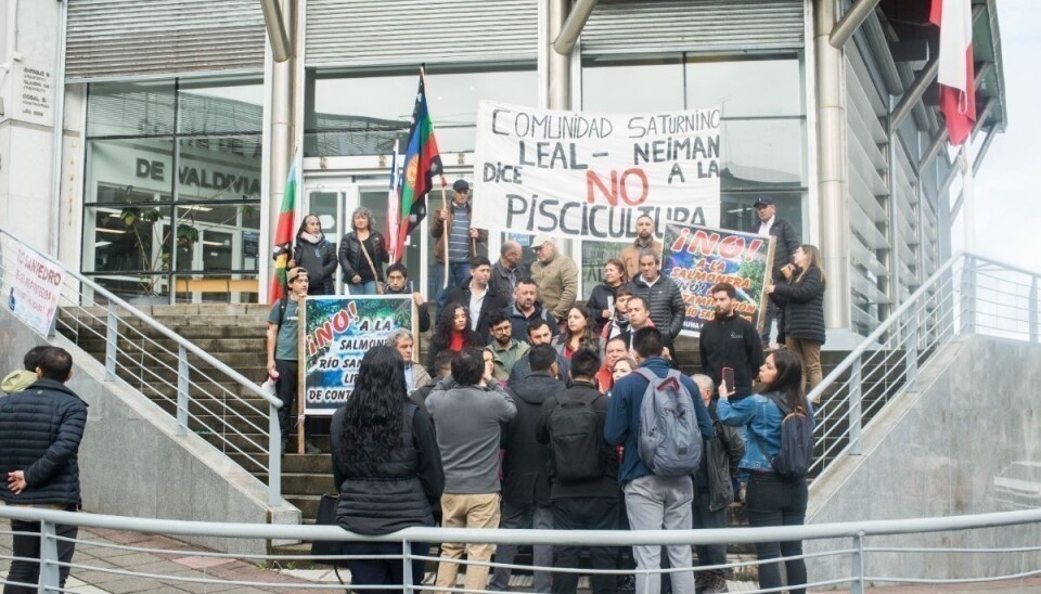 Municipio de Los Lagos busca rechazar acción jurídica contra piscicultura