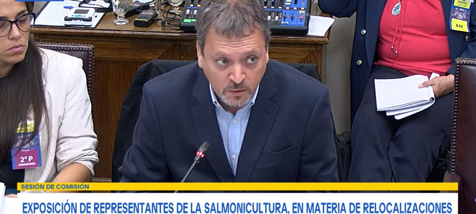 Subpesca no comparte criterio de la SMA que afecta al 30% de concesiones de salmón