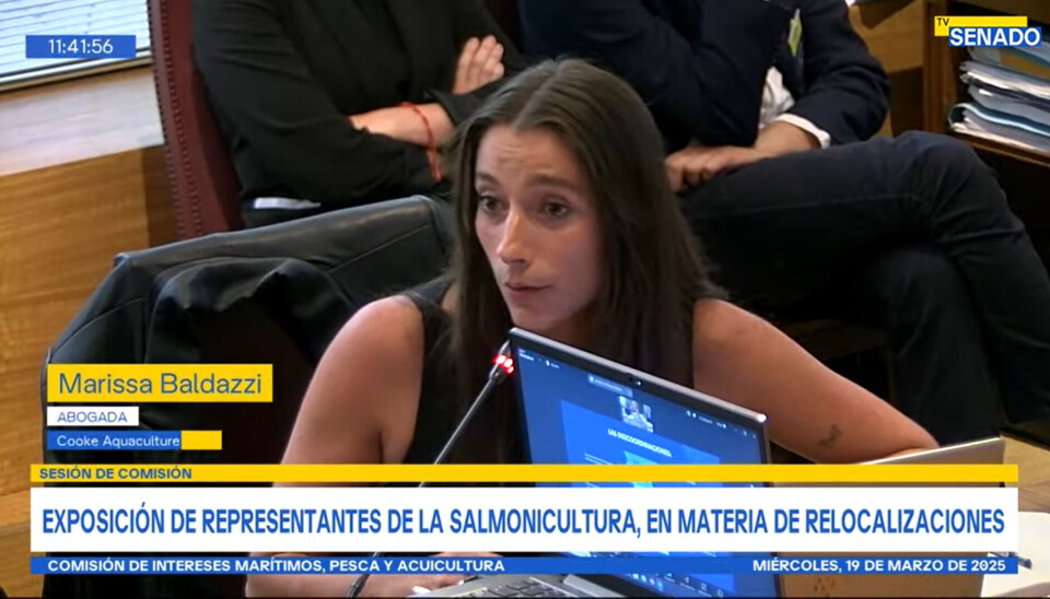 Cooke acusa ante el Senado que el Estado de Chile está expropiando sus concesiones