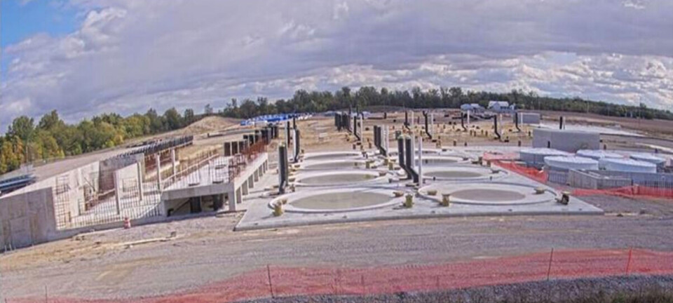 Productor de salmón ha perdido 369 millones de dólares en sus 33 años de existencia