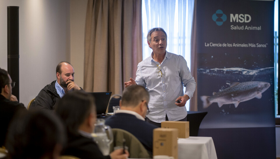 MSD Salud Animal presenta avances en salud y tecnología para el bienestar de los peces