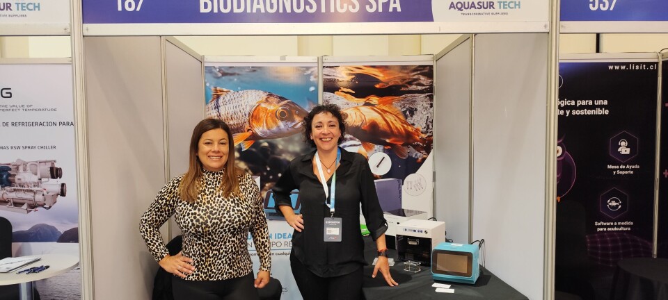 Diagnóstico en terreno: la tecnología que detecta patógenos de salmones en tiempo real