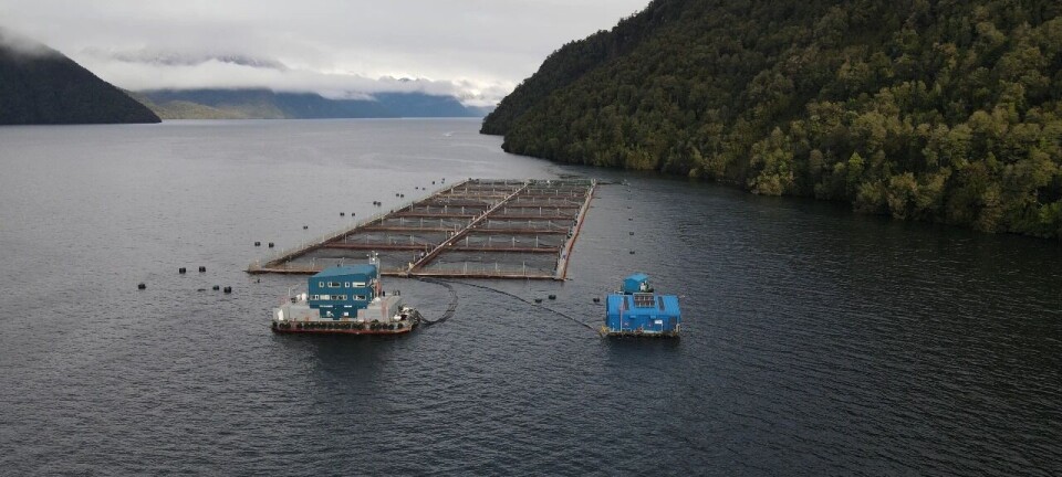 Cooke Chile acusa a ministro del Tribunal Ambiental de favorecer a la SMA antes del fallo