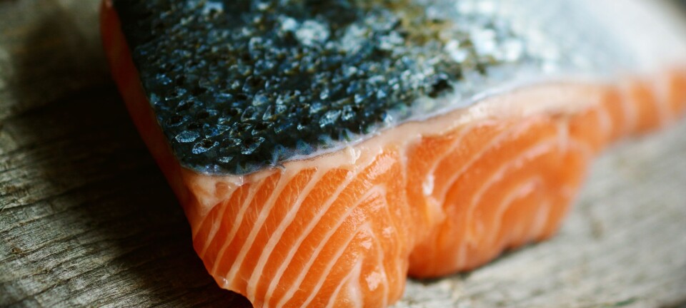 T1: Exportaciones de salmón chileno muestran una leve recuperación