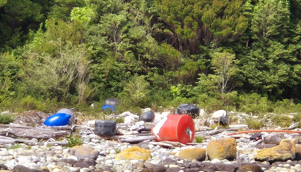 Salmonicultores subsanan residuos en Canal Moraleda y Parque Nacional Isla Magdalena