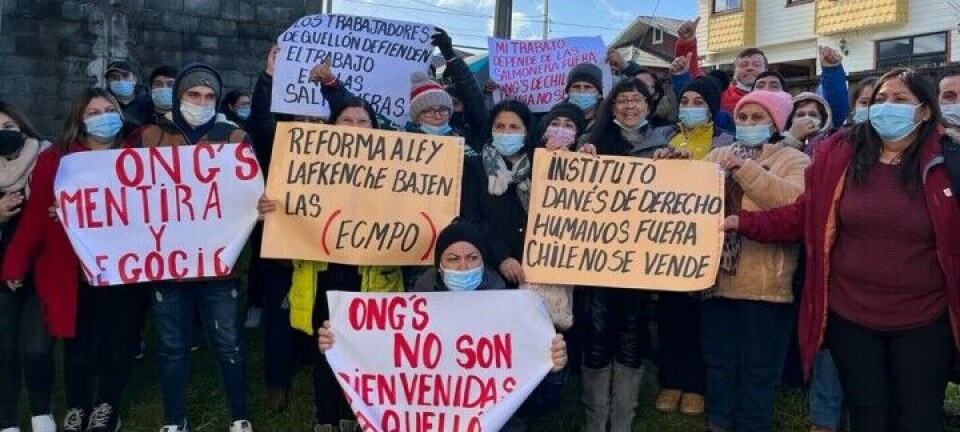 Aumenta presión mundial para transparencia de ONG ambientalistas antisalmonicultura