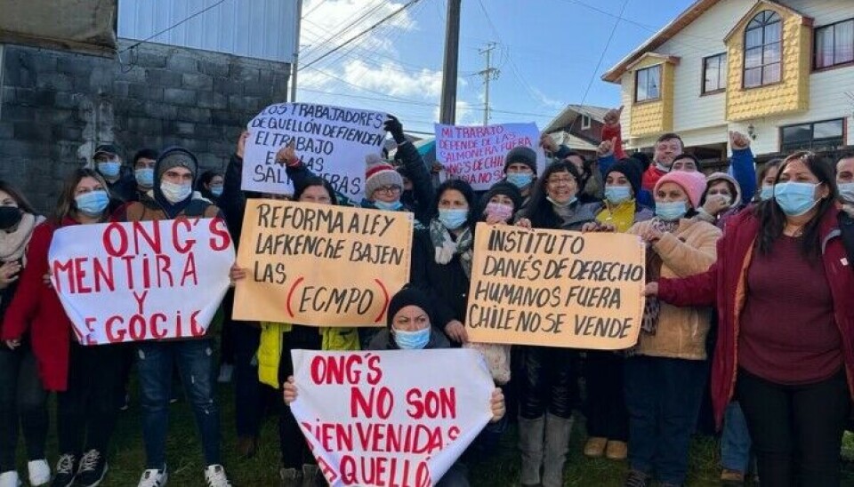 Aumenta presión mundial para transparencia de ONG ambientalistas antisalmonicultura