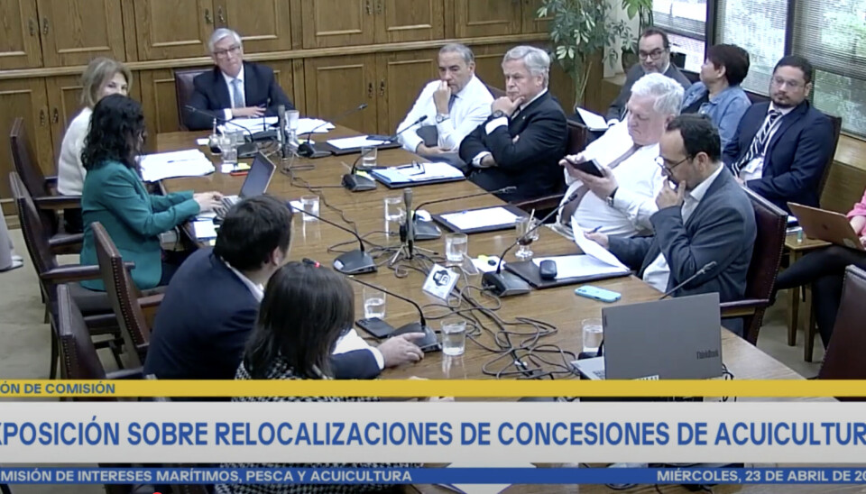 Trabas que impiden crecer: sólo 1 de 210 solicitudes de relocalización salmonicultora ha sido aprobada