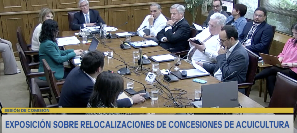 Trabas que impiden crecer: sólo 1 de 210 solicitudes de relocalización salmonicultora ha sido aprobada