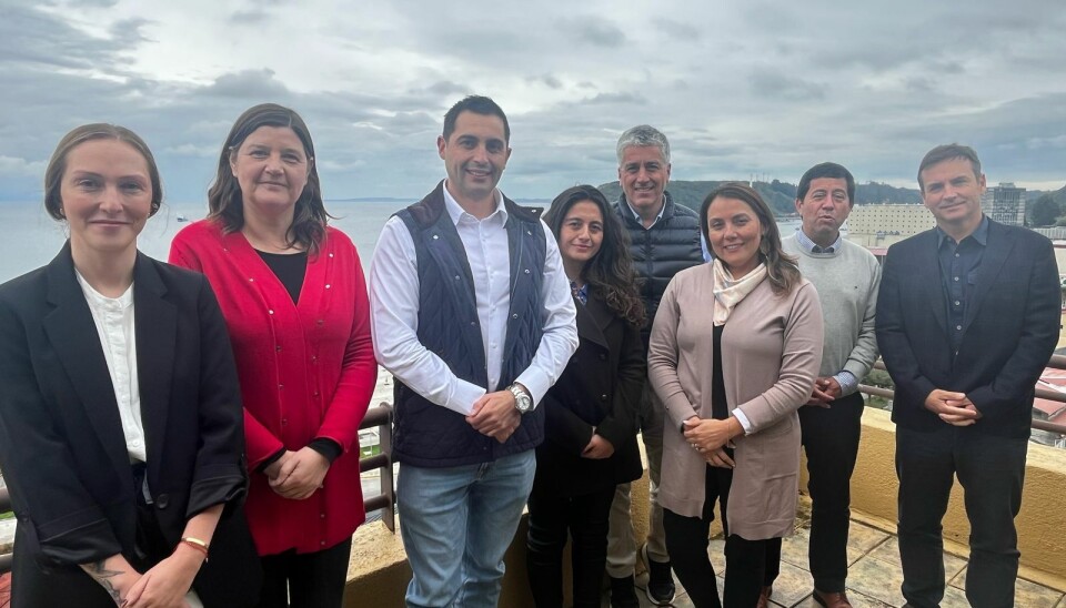 ProChile refuerza su agenda exportadora con foco acuícola: las proyecciones del salmón
