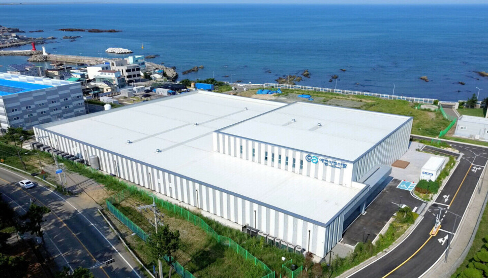 Se inaugura el primer centro de salmón terrestre de Corea del Sur