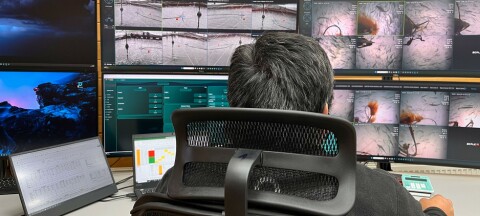 Salmonicultores son pioneros en implementación de Inteligencia Artificial en la industria chilena