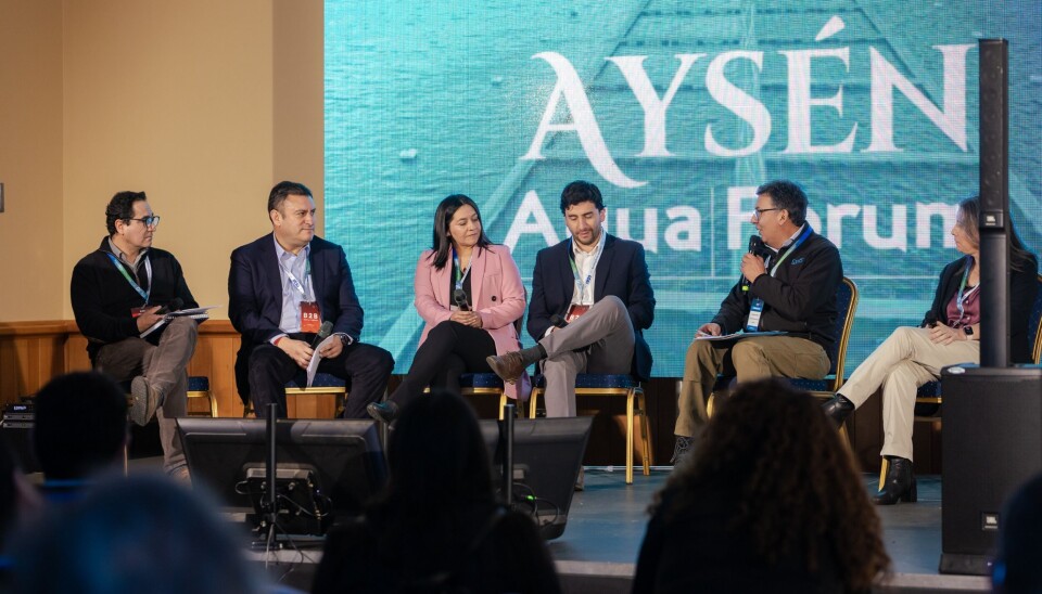 Así empuja Mowi la expansión de sus proveedores locales en Aysén