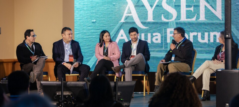 Así empuja Mowi la expansión de sus proveedores locales en Aysén