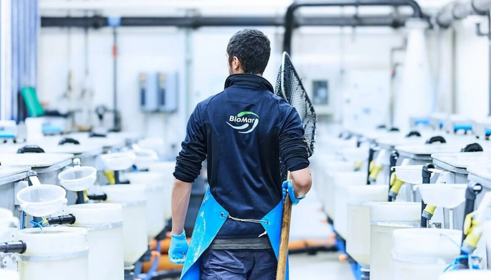 BioMar obtiene excelentes resultados y avanza en importante operación financiera