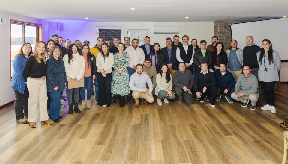 Las metas concretas para mejorar la operación de 21 proveedores del salmón en Aysén