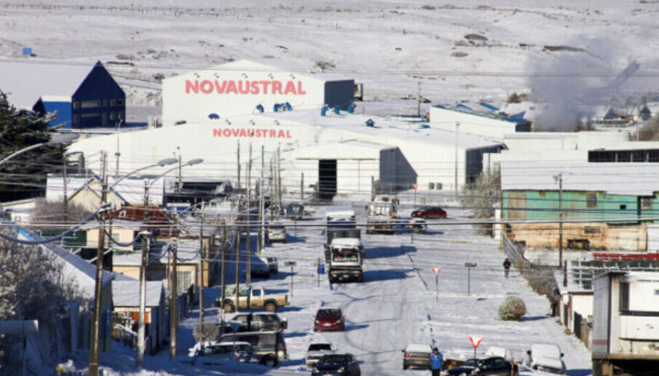 Llegó el momento: comenzará el juicio oral contra cuatro ex ejecutivos de Nova Austral