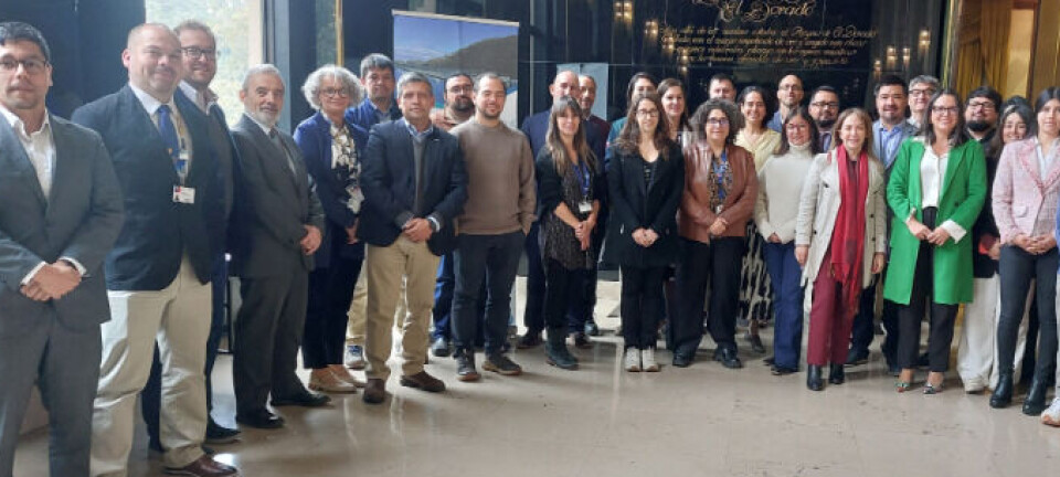 Lanzan proyecto que implica reducir 25% uso de antimicrobianos en el salmón chileno