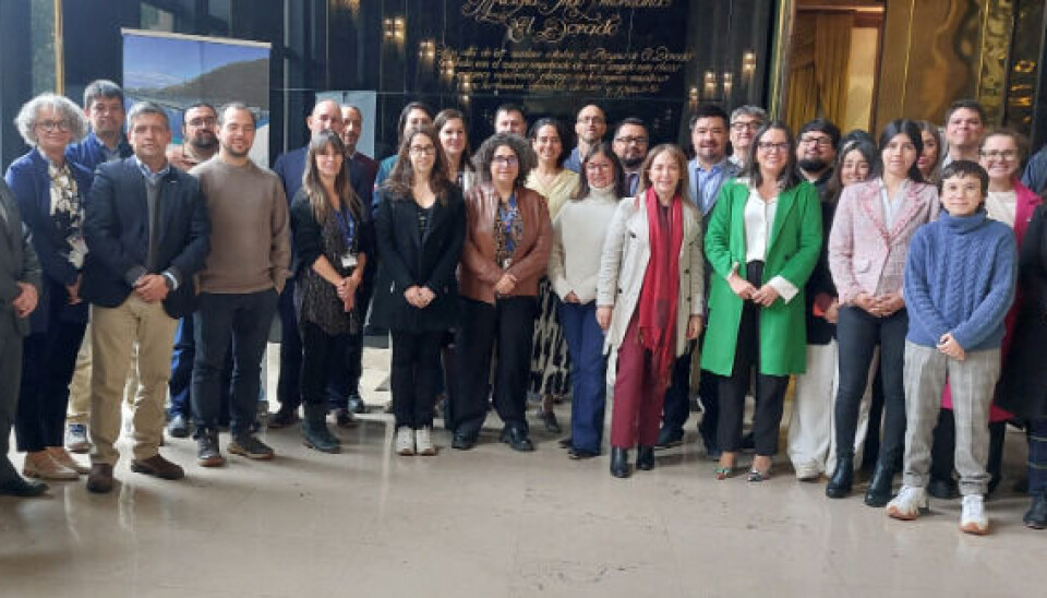 Lanzan proyecto que implica reducir 25% uso de antimicrobianos en el salmón chileno