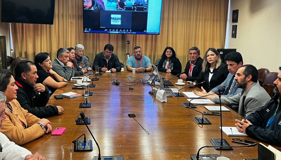 Gobierno recibe positivamente proyecto que crea el Día del Trabajador Salmonicultor