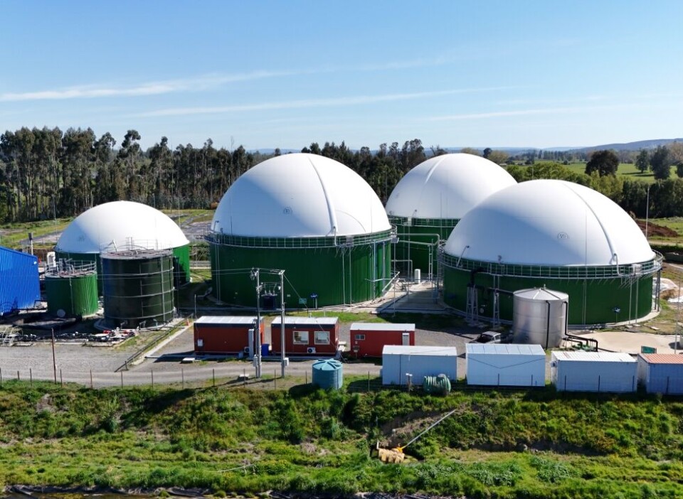 Ecoprial: la planta de tratamiento de residuos estratégica
para la industria del salmón