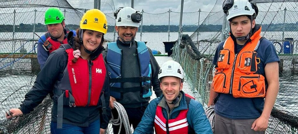 OptoScale se expandirá en Chile: traerá conteo automático de piojos adaptado al Caligus