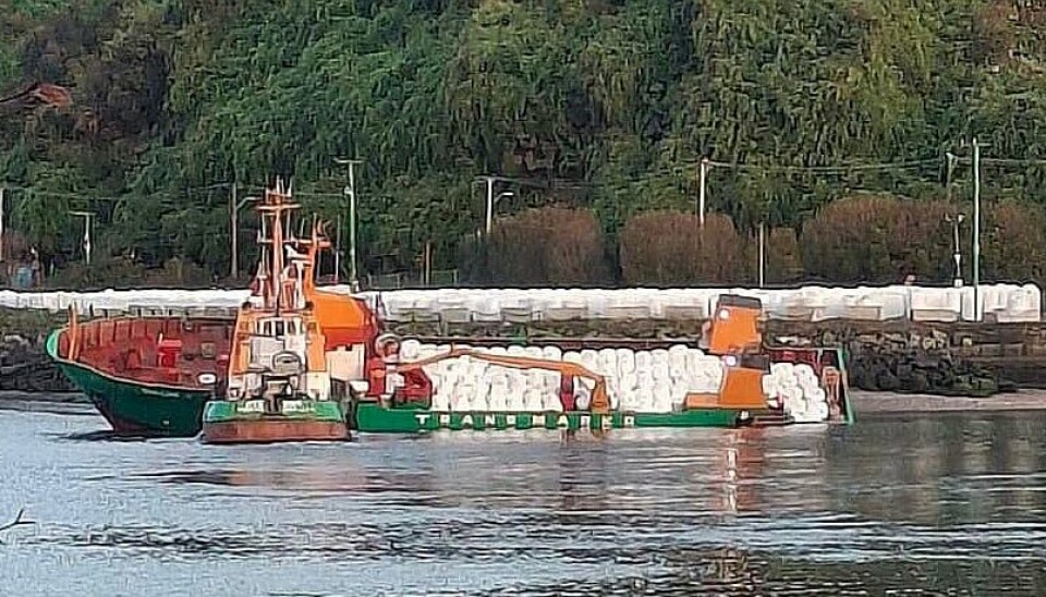 Barco con 500 toneladas de alimento para peces a punto de hundirse en Puerto Montt