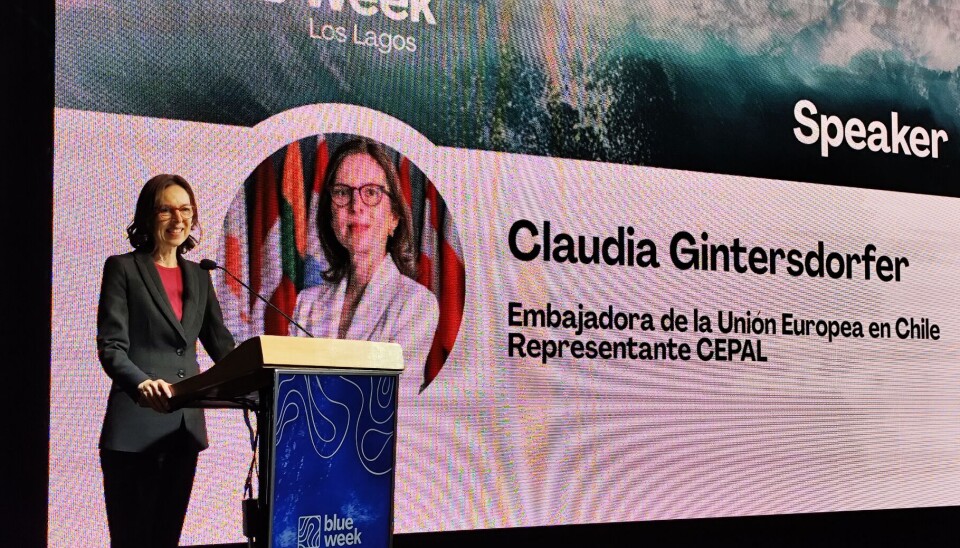 Claudia Gintersdorfer.