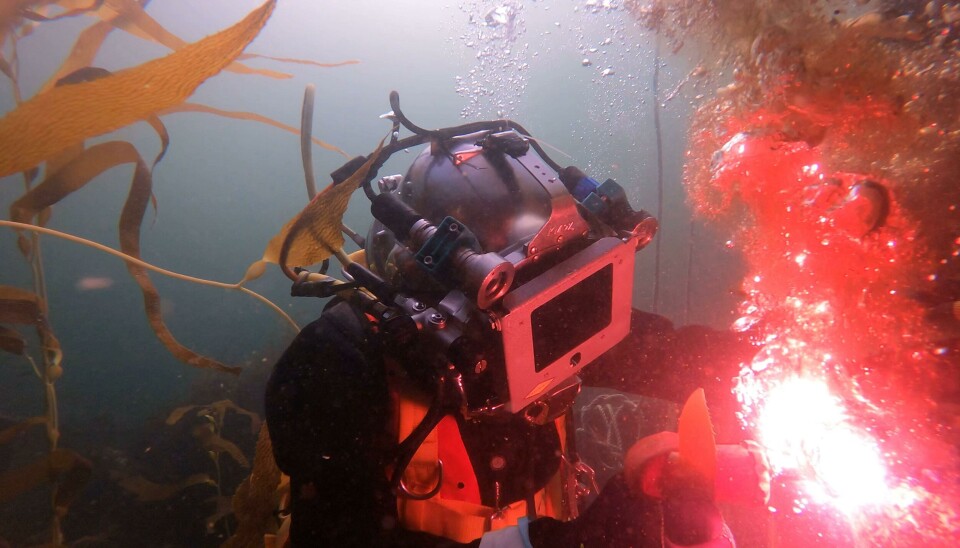 Faenas de Buceo.