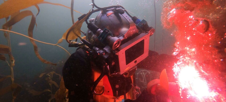 Operaciones submarinas: fortalecen uso de ROVs para evitar accidentes en salmonicultura