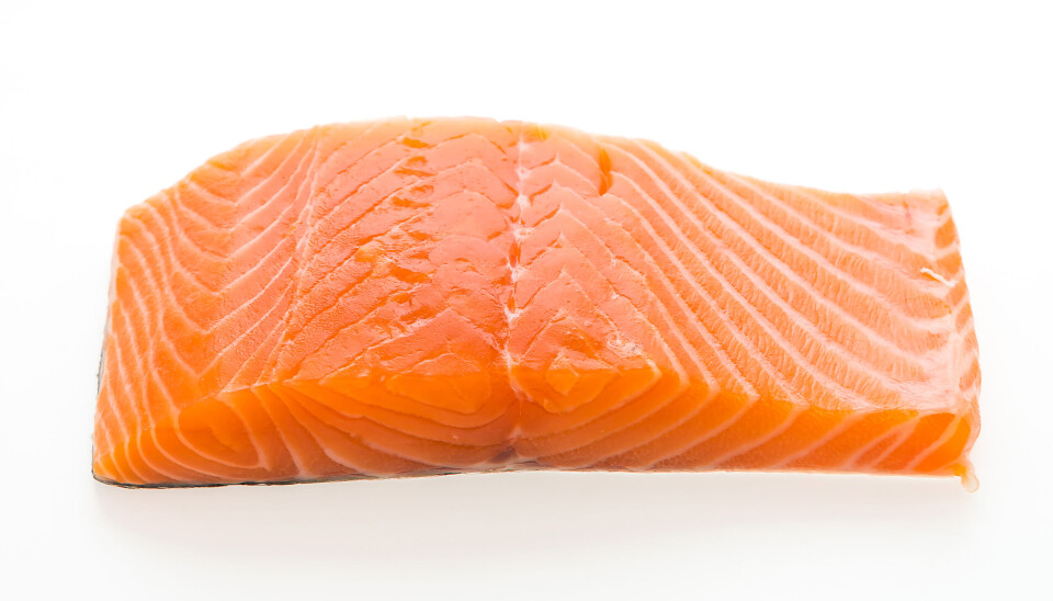 Porción de salmón.