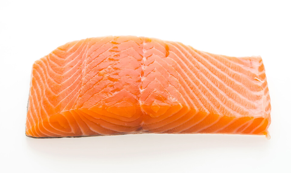 Precio del salmón noruego registra nuevo importante aumento
