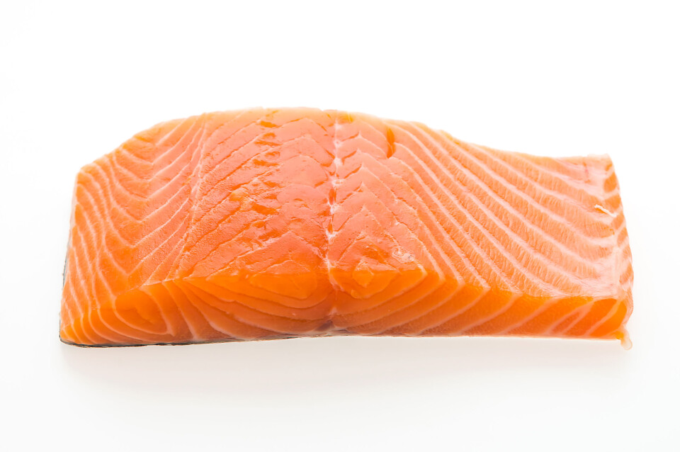 Porción de salmón.