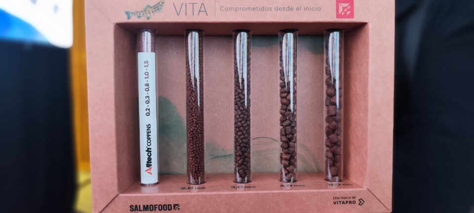 “Con Vita, completamos el ciclo”: Salmofood lanza su nueva línea de dietas para agua dulce