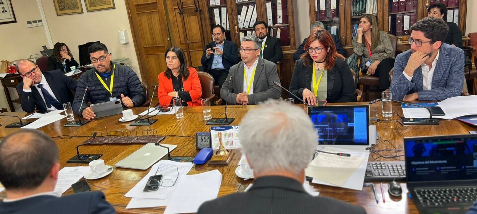 Ambigüedad y falta de representatividad: buzos convocan a marcha por proyecto de ley