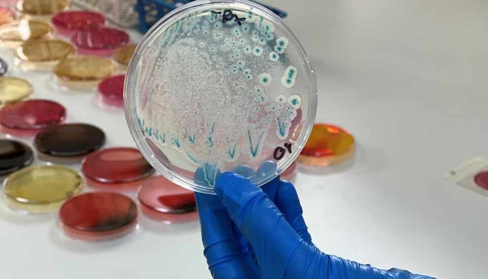 Favet crea Certificación de Calidad e Inocuidad de los Alimentos para fortalecer la acuicultura