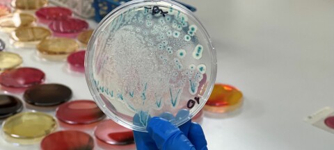 Favet crea Certificación de Calidad e Inocuidad de los Alimentos para fortalecer la acuicultura