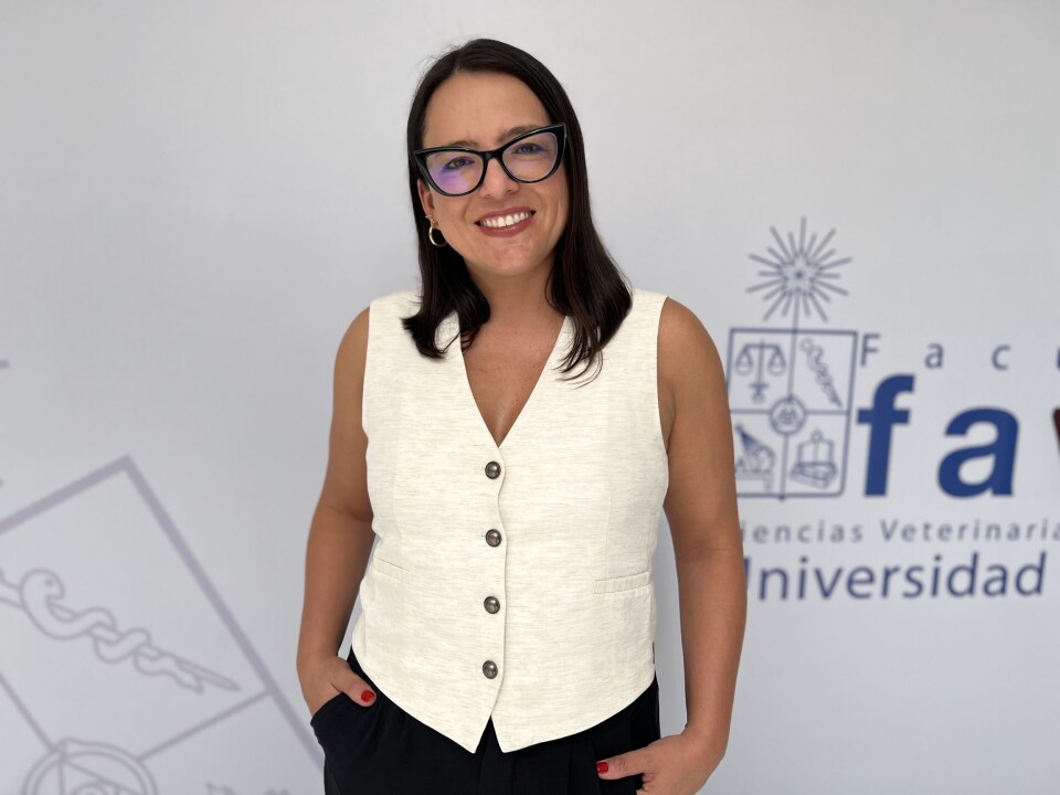Dra Javiera Cornejo.