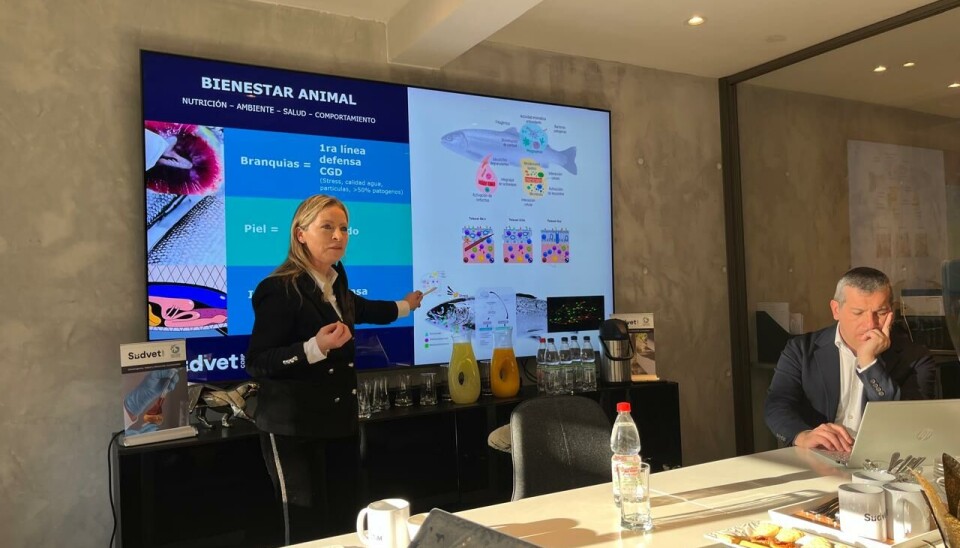 Marcela Delgado, CEO de Sudvet