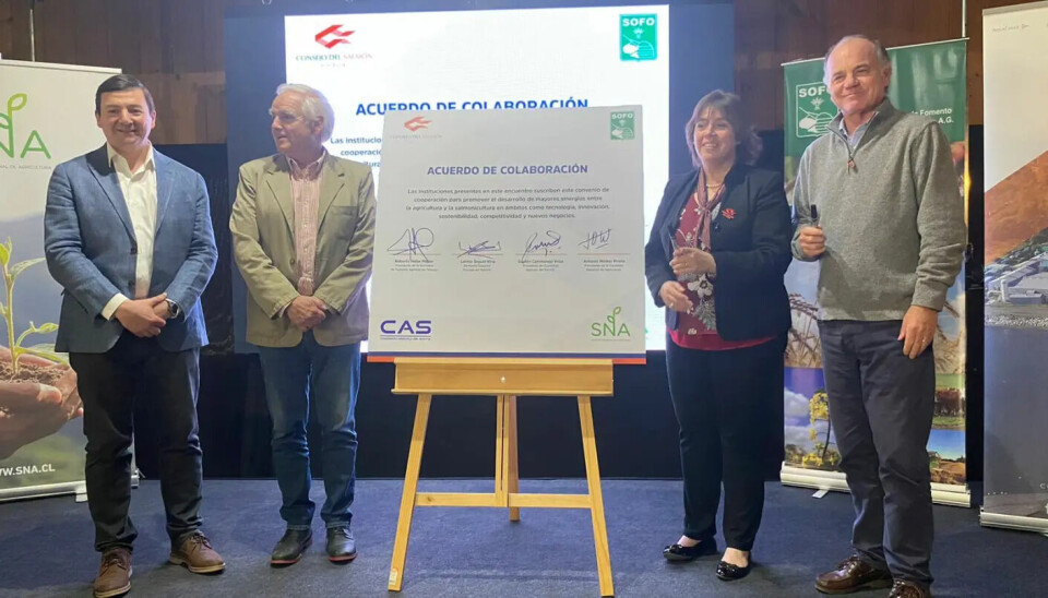 La carta abierta que une a la salmonicultura y agricultura chilena