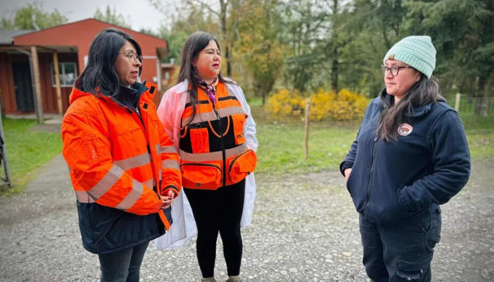 La Directora Regional del Trabajo, Carolina Ojeda, encabezó la visita junto a la seremi del Trabajo y Previsión Social, Claudia Tapia.