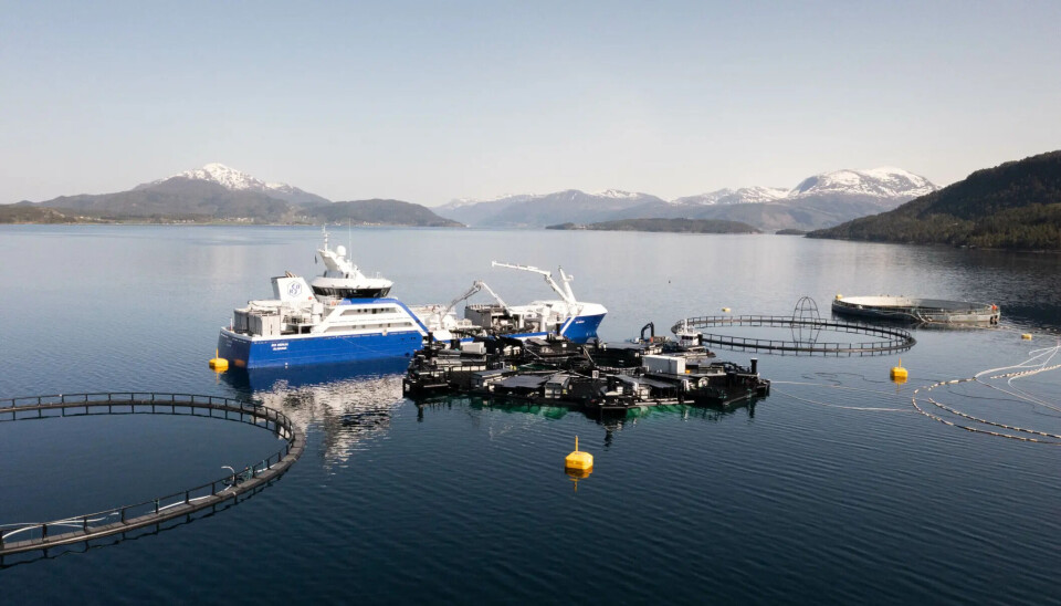La nueva versión de Marine Donut para el cultivo de salmones es mucho mejor