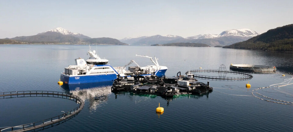 La nueva versión de Marine Donut para el cultivo de salmones es mucho mejor