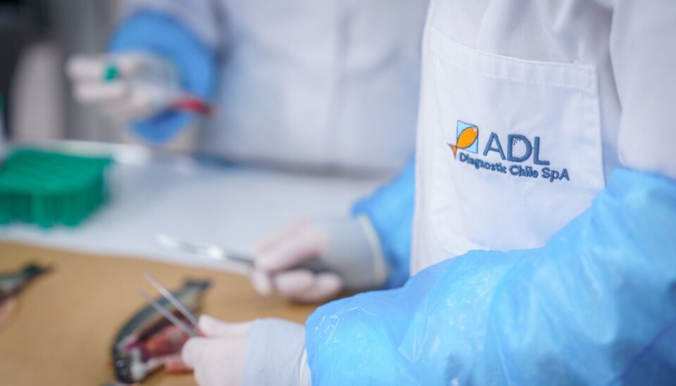 ADL: Importantes aportes en salud branquial y SRS en nutrida agenda internacional