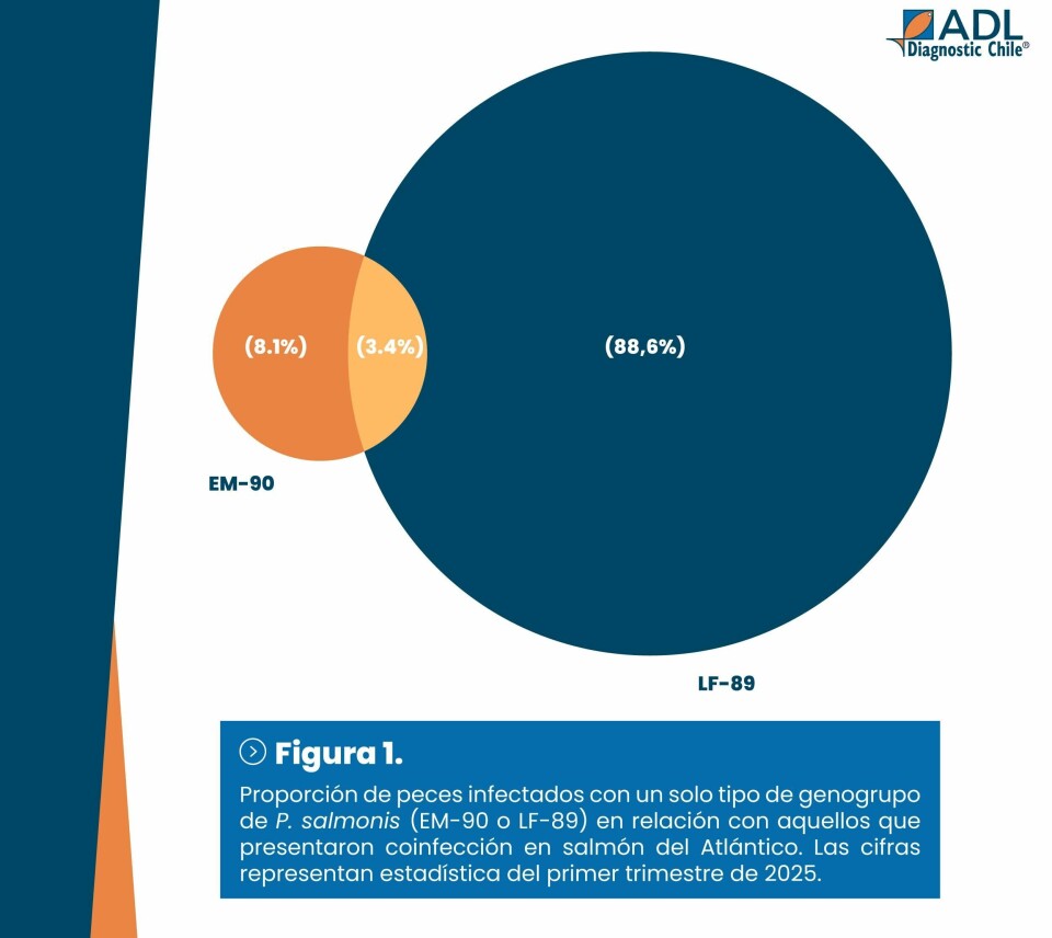 ADL: Importantes aportes en salud branquial y SRS en nutrida agenda internacional