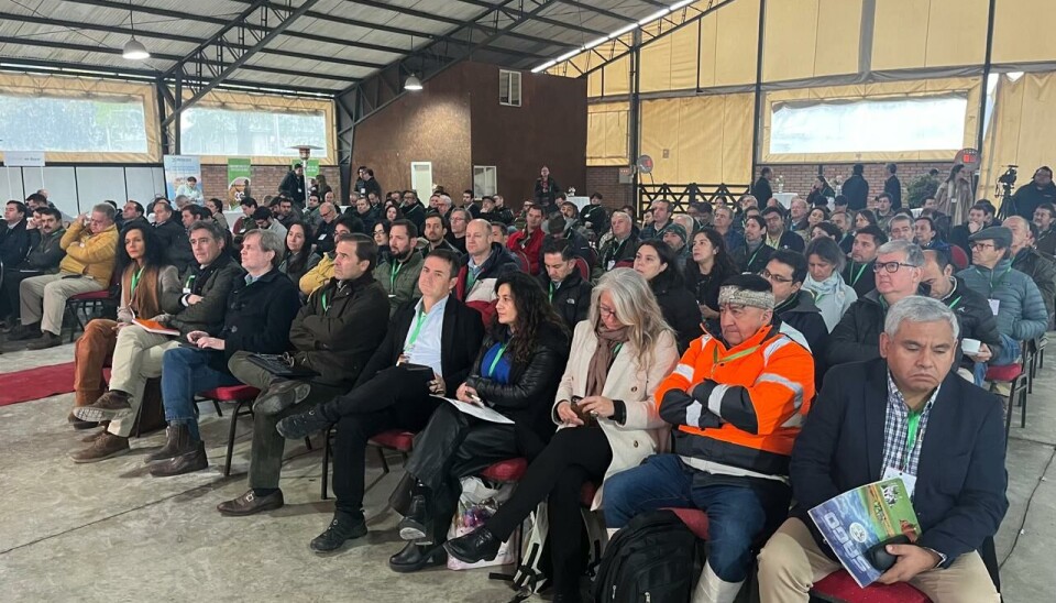 Asistentes al evento 'Integración Agro-Salmón' en Sago.