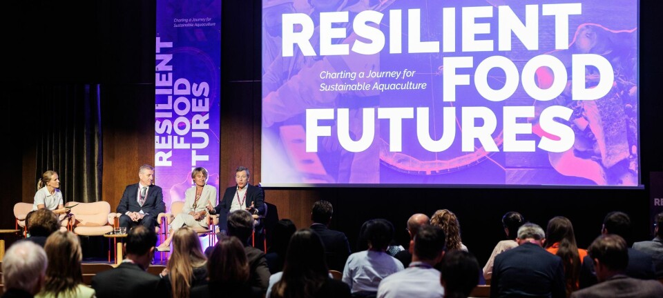 “La acuicultura necesita dejar de ser invisible en las regiones de más al norte en Chile”