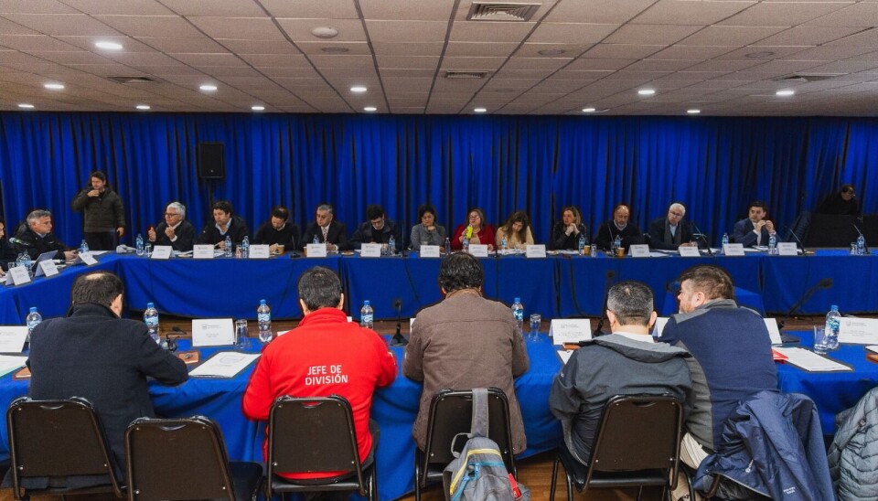 Foto: Municipalidad de Puerto Montt.
